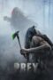 Poster Movie Prey (2024)