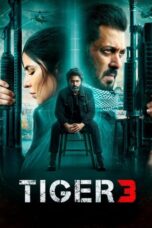 Poster Movie Tiger 3 (2023)