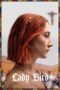 Poster Movie Lady Bird (2017)