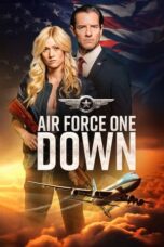 Poster Movie Air Force One Down (2024)