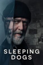 Poster Movie Sleeping Dogs (2024)