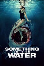 Poster Movie Something in the Water (2024)