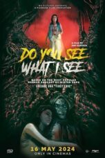 Poster Movie Do You See What I See (2024)