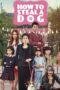 Poster Movie How to Steal a Dog (2014)