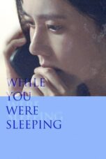 Poster Movie While You Were Sleeping (2024)