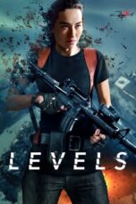 Poster Movie Levels (2024)