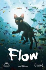 Poster Movie Flow (2024)