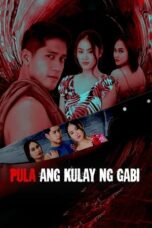 Poster Movie Pula ang Kulay ng Gabi (2022)