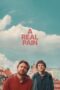 Poster Movie A Real Pain (2024)