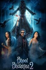 Poster Movie Bhool Bhulaiyaa 2 (2022)