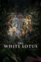 Poster Tv Show The White Lotus Season 3 (2025)