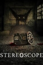 Poster Movie Stereoscope (2024)