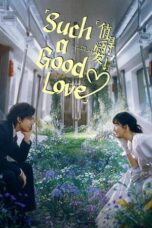 Poster Tv Show Such a Good Love (2025)