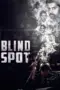 Poster Movie Blind Spot (2025)