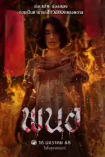 Poster Movie Panor (2025)