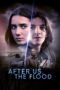 Poster Movie After Us, the Flood (Jalkeemme Vedenpaisumus) (2024)