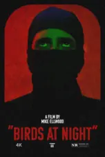 Poster Movie Birds at Night (2023)