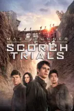 Poster Movie Maze Runner: The Scorch Trials (2015)