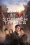 Poster Movie Maze Runner: The Scorch Trials (2015)