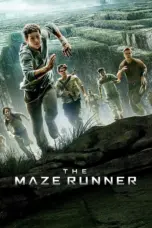 Poster Movie The Maze Runner (2014)