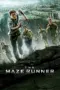 Poster Movie The Maze Runner (2014) Poster Movie The Maze Runner (2014)