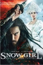Poster Movie Zhongkui: Snow Girl and the Dark Crystal (2015)