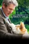 Poster Movie Hachi: A Dog’s Tale (2009)