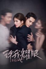 Poster Tv Show Love’s Ambition (2025)