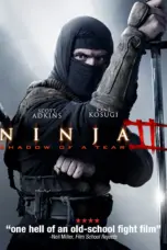 Poster Movie Ninja: Shadow of a Tear (2013)