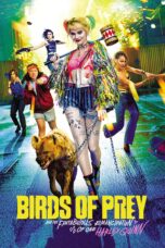 Poster Movie Birds of Prey (2020)