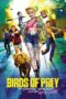 Poster Movie Birds of Prey (2020)